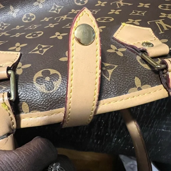 Louis Vuitton garment bag